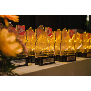 Pasniegtas laureātu balvas ceremonijā “DIENVIDKURZEMES NOVADA SPORTA LAUREĀTS 2025”.